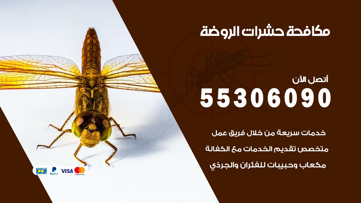مكافحة حشرات الروضة 55306090 شركة مكافحة حشرات الروضة