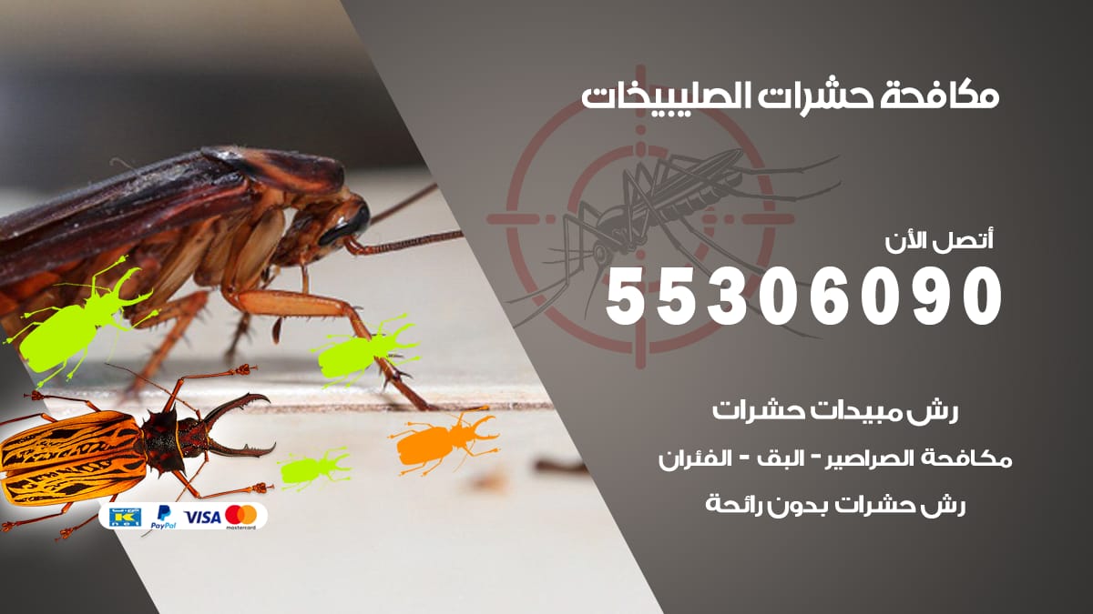 مكافحة حشرات الصليبيخات 55306090 شركة مكافحة حشرات الصليبيخات