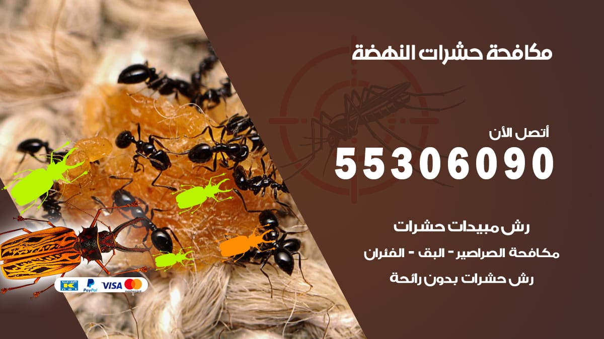 مكافحة حشرات النهضة 55306090 شركة مكافحة حشرات النهضة