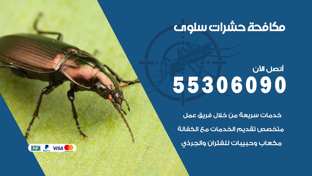 مكافحة حشرات سلوى 55306090 شركة مكافحة حشرات سلوى